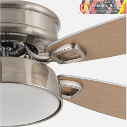 VENTILADOR 30W DC BRAW NIQUEL 5 ASPAS PLATA/HAYA 6VEL. 3 COLORES 106.7D C/REMOTO,MEMORIA Y TEMPORIZADOR 2850LM